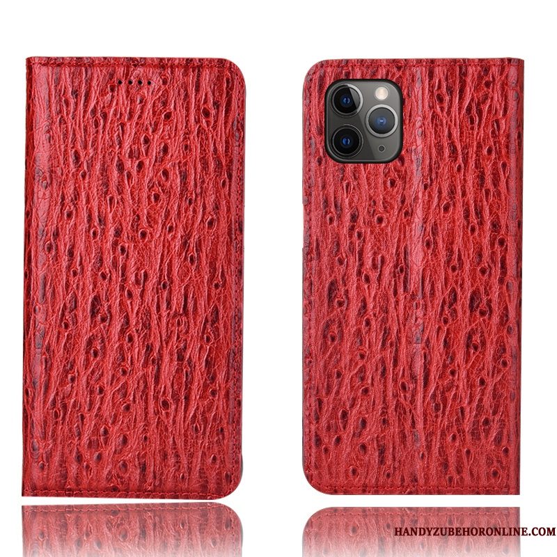 Hoesje iPhone 11 Pro Bescherming Telefoon Patroon, Hoes iPhone 11 Pro Folio Rood Vogel