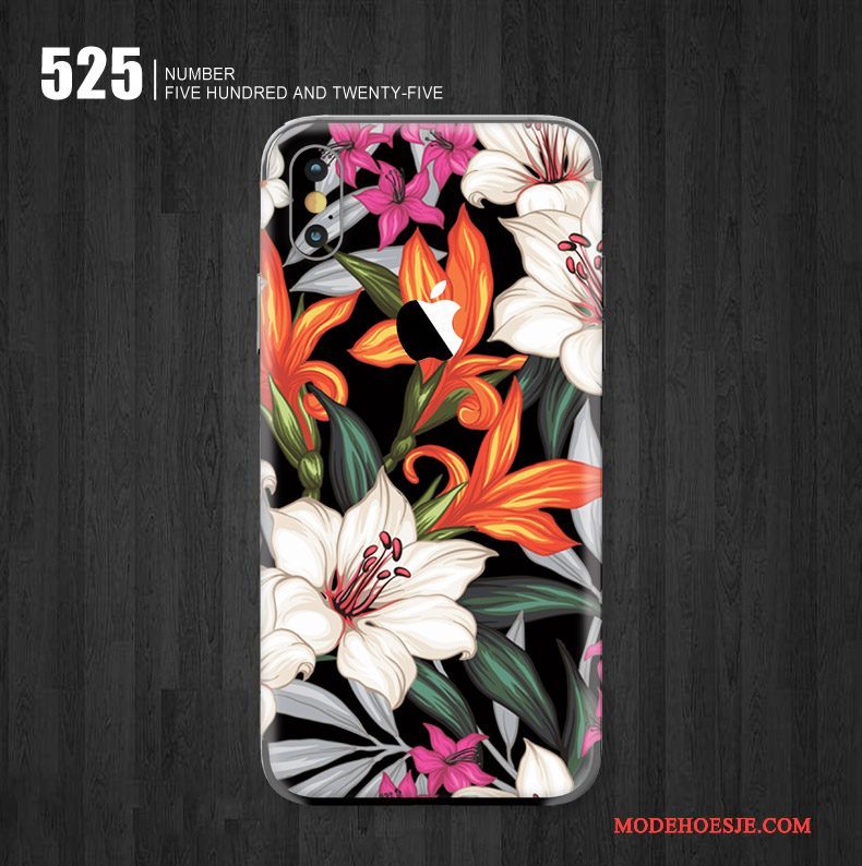 Hoesje iPhone X Kleur Skärmskydd Kunst, Hoes iPhone X Bescherming