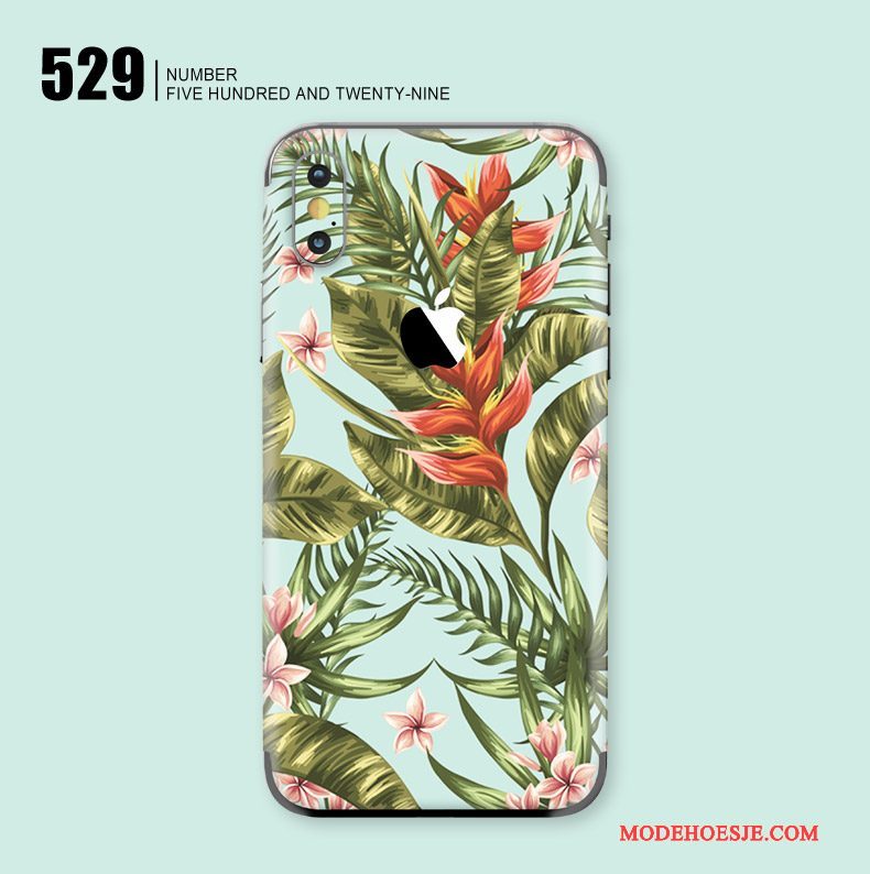 Hoesje iPhone X Kleur Skärmskydd Kunst, Hoes iPhone X Bescherming